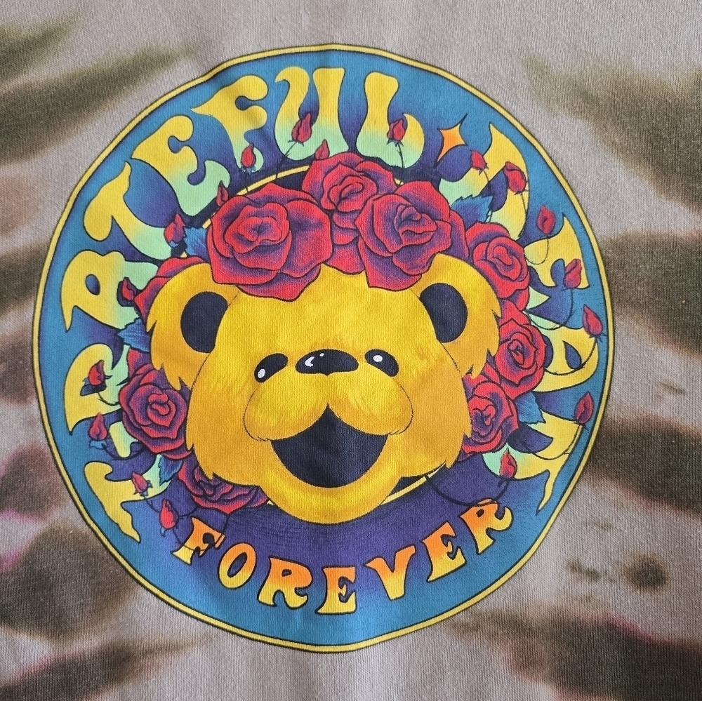 Grateful Dead Teddy Forever Sweatshirt Tie Dye Green Tan Medium Boho Grunge - Picture 4 of 7